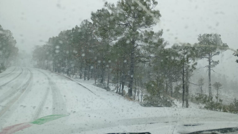 a4843620-dd12-4de8-982d-dbcdf495906a