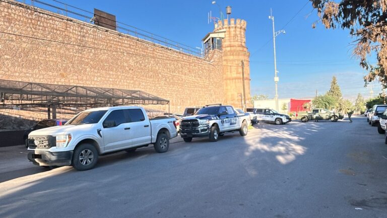 c2a4dd8b-3d36-4bd8-a081-cbef3049d428