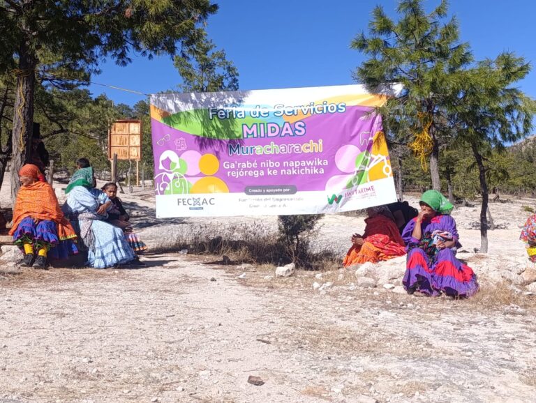 d407240e-3804-4f01-84c8-693717f0f7a4