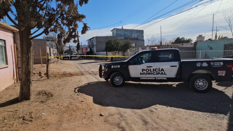 144d8905-b9b5-4bb1-be09-7f7e3e4aec53