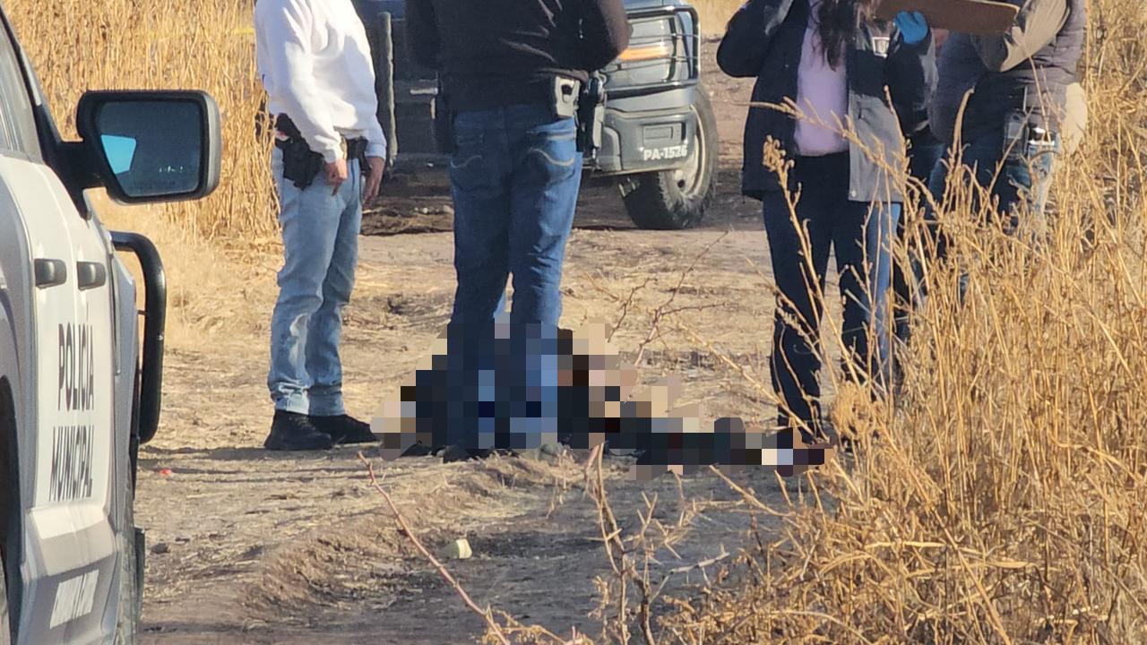 213ae85c-c757-440b-bfba-556bfa7de964