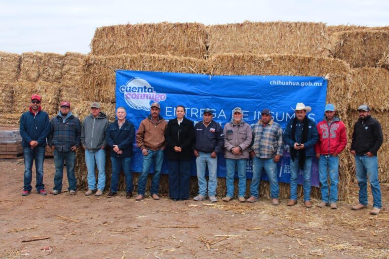 2b71613a-d565-49b6-a742-a5d84d39e8a2