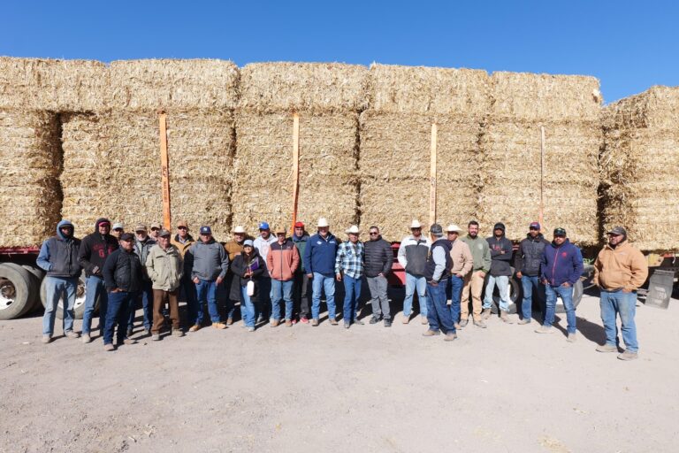 37cbe66d-0682-445a-9a0d-8aaab8e5b173