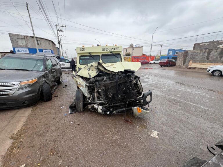 51c5e60c-aa6e-4df5-83b7-5622b46c5f97