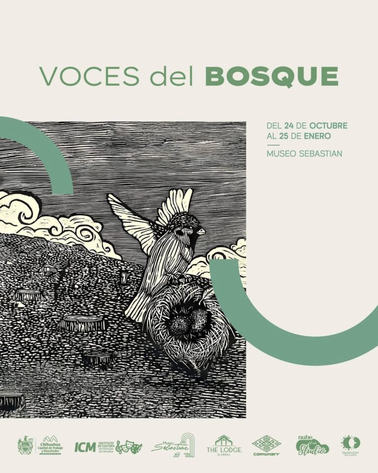 610635411_1300379728782100_5969354322247645720_n