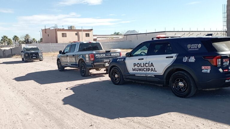 631c8442-a64b-4536-8990-0cddaf9c5487