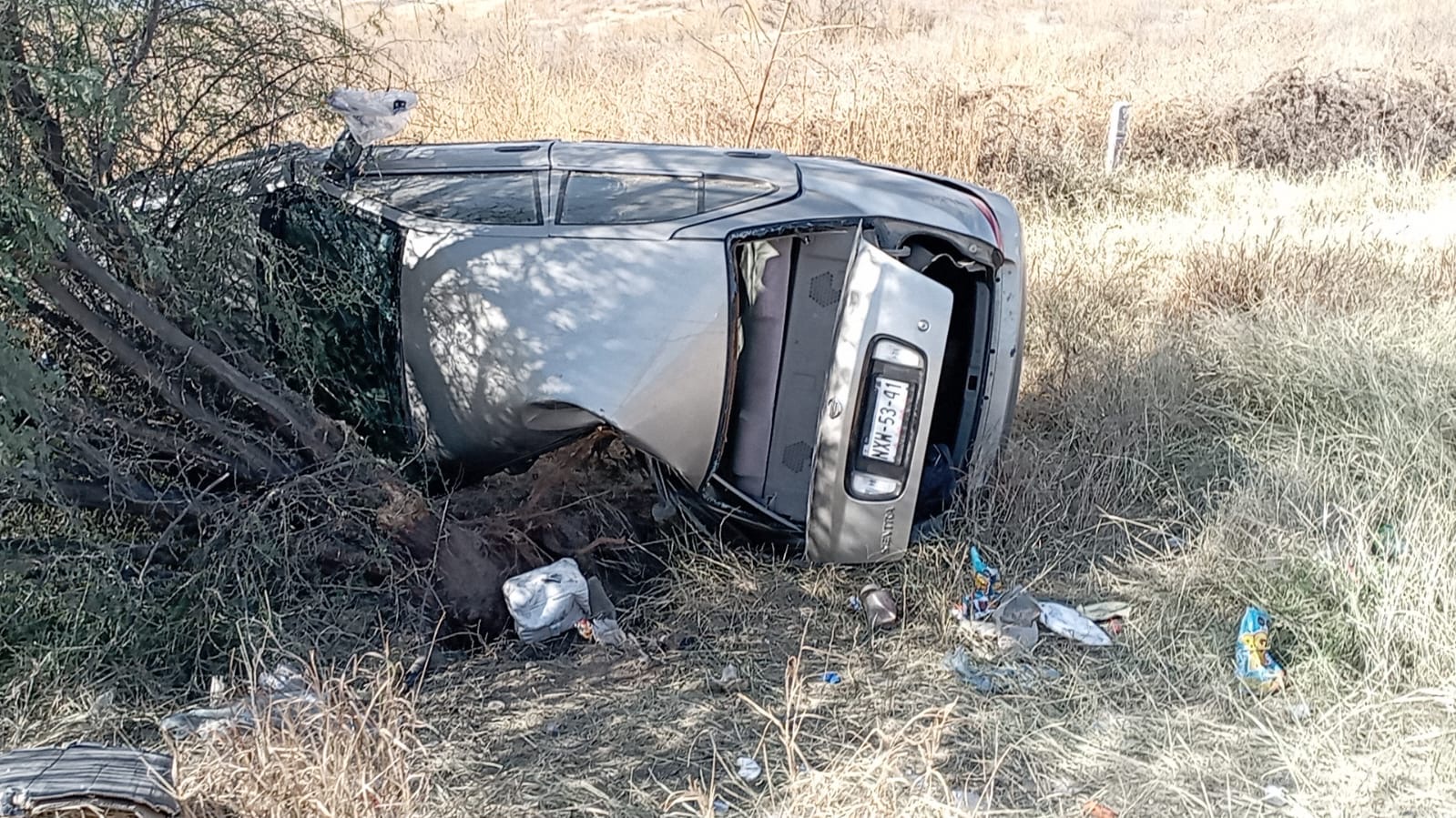 6587566c-3bb9-4a0a-b686-ffb26ba5fd8e