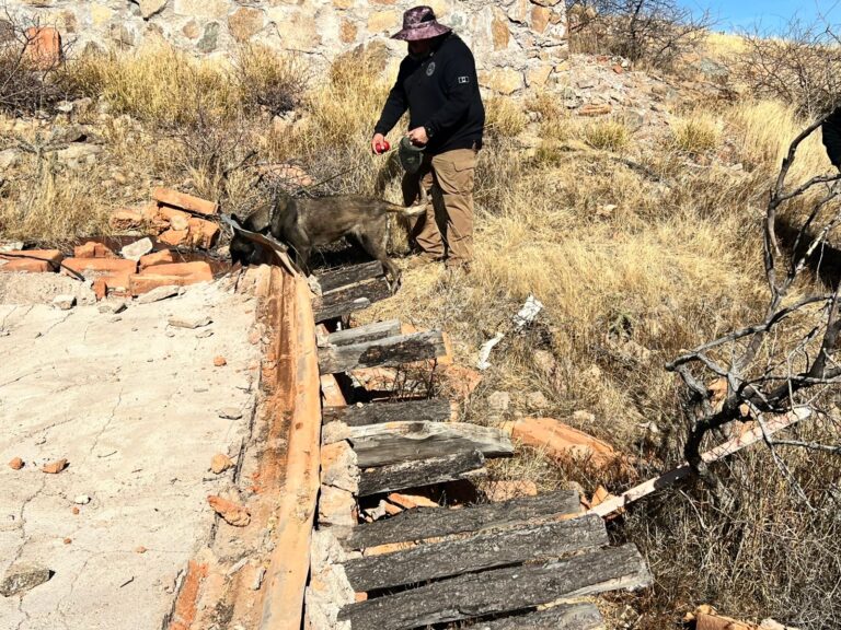 698cb4e5-fe52-437b-8de5-c197834ef79f