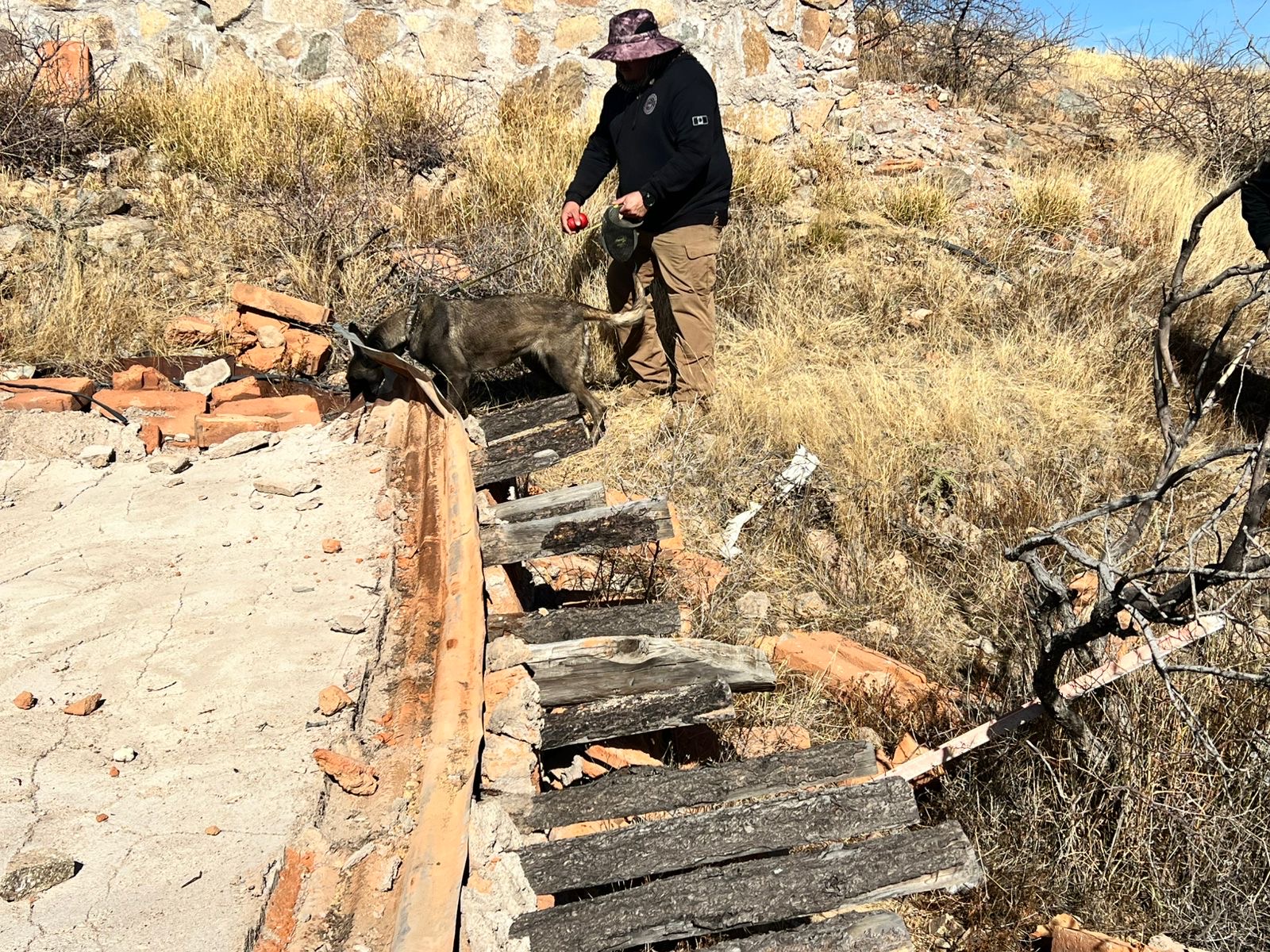 698cb4e5-fe52-437b-8de5-c197834ef79f