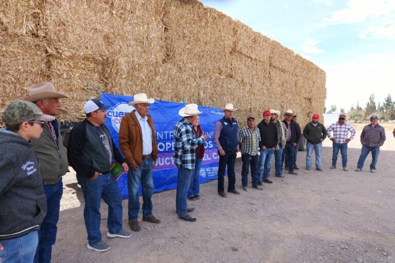 735d934c-e7d4-4a15-98f3-32e328a820ef