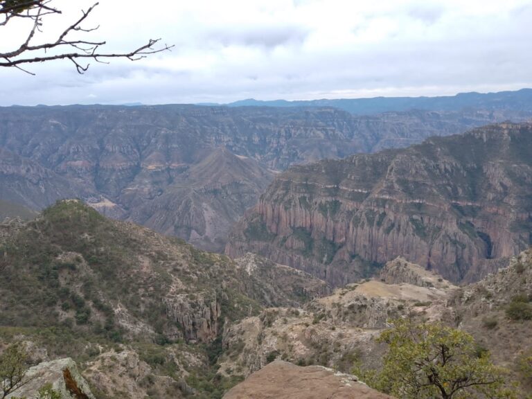 79e867c1-526a-4a71-a417-274c6a104b8e