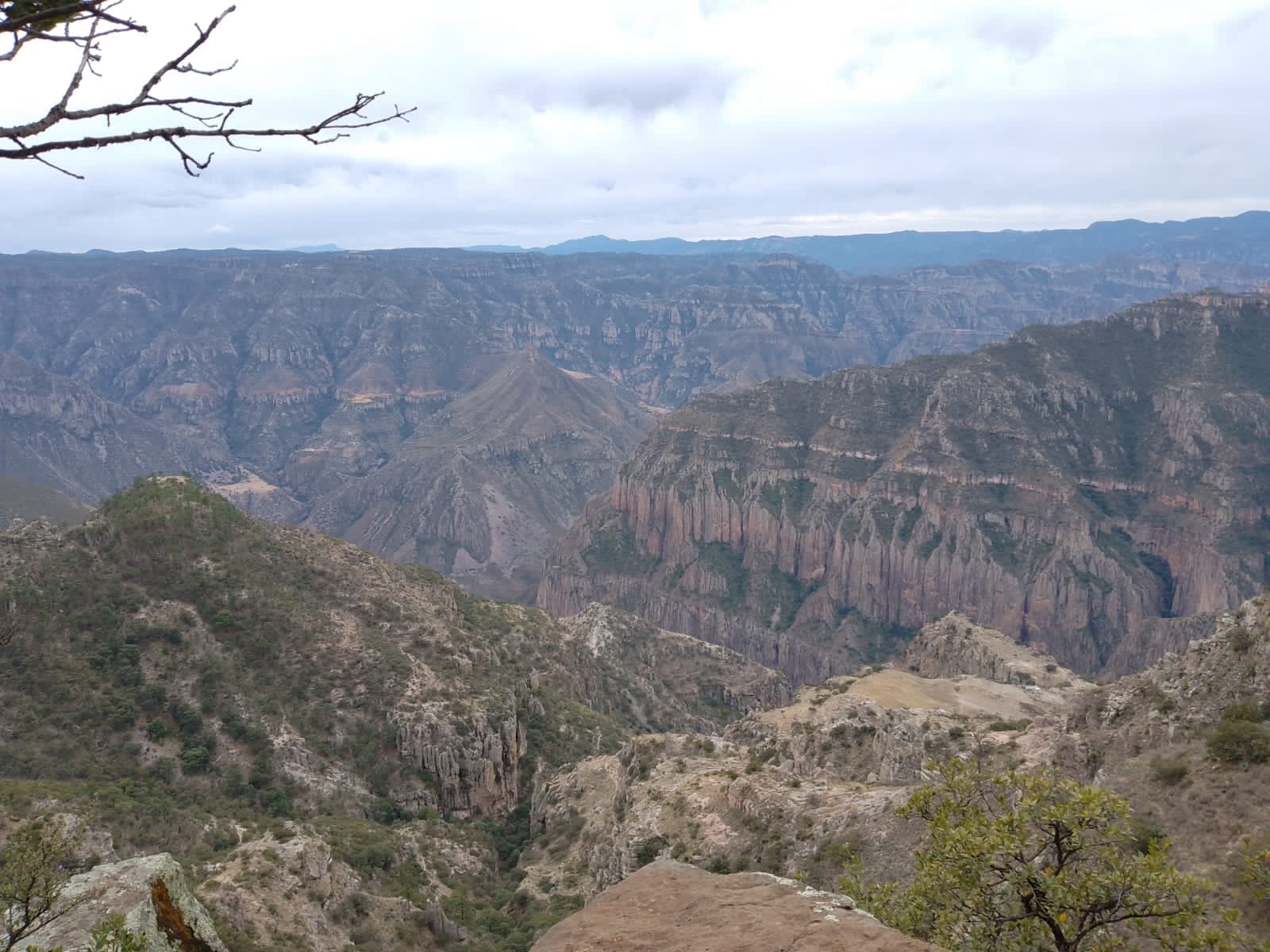 79e867c1-526a-4a71-a417-274c6a104b8e