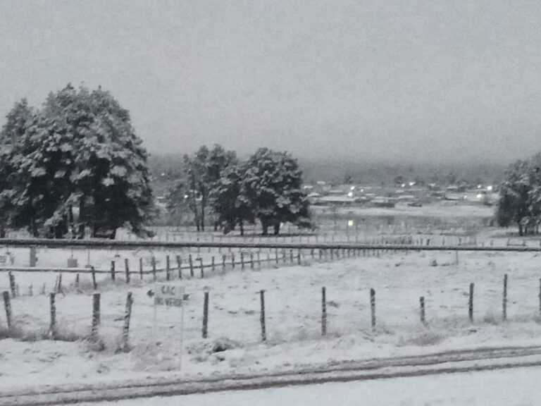 87635fef-d316-4bfb-9228-7970c3b4cba2