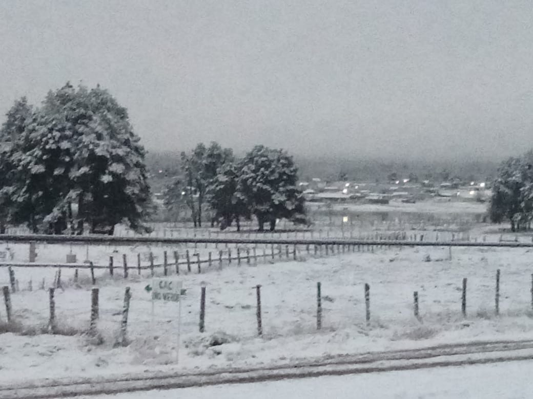 87635fef-d316-4bfb-9228-7970c3b4cba2