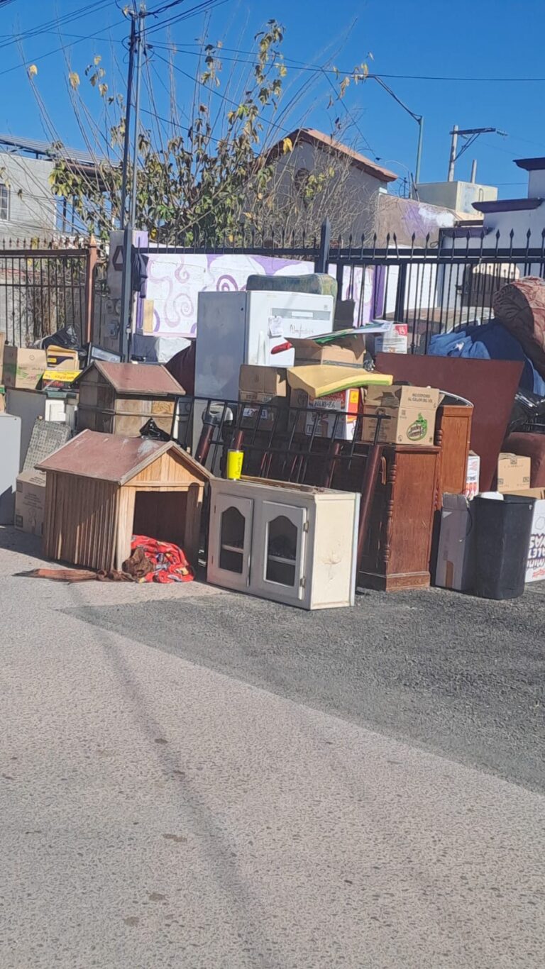 887d3221-9343-4f1c-9606-9c85c93e06cd