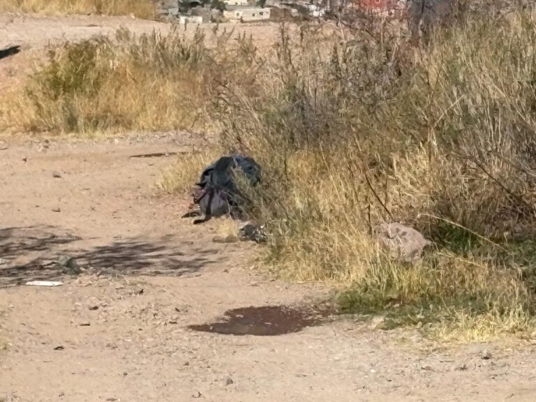 WhatsApp Image 2026-01-03 at 10.56.17 AM