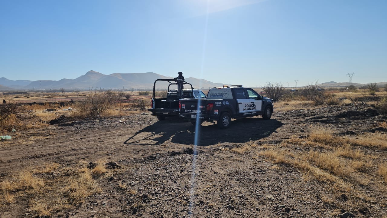 WhatsApp Image 2026-01-03 at 10.58.23 AM