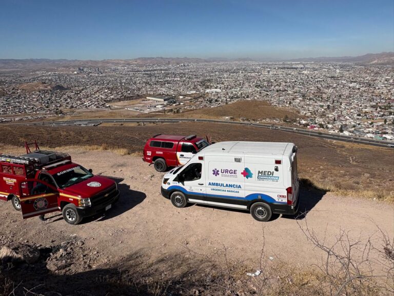 WhatsApp Image 2026-01-03 at 2.46.50 PM