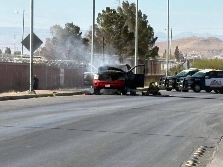 WhatsApp Image 2026-01-03 at 2.57.08 PM