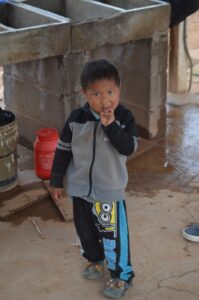 WhatsApp Image 2026-01-06 at 1.01.21 PM