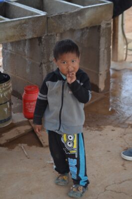 WhatsApp Image 2026-01-06 at 1.01.21 PM