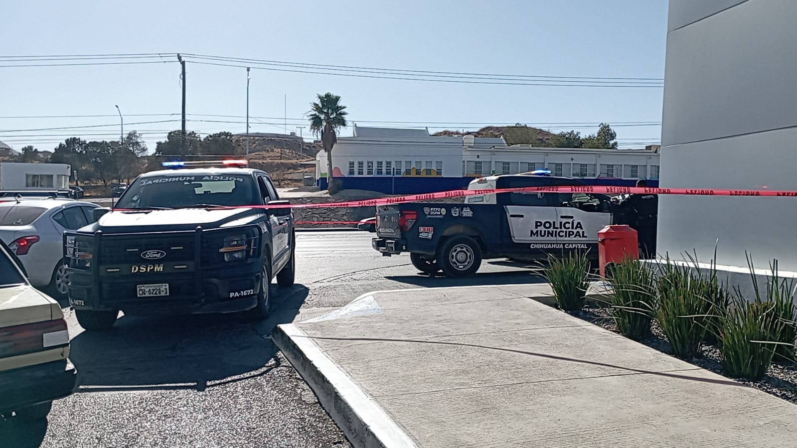 WhatsApp Image 2026-01-09 at 3.02.22 PM