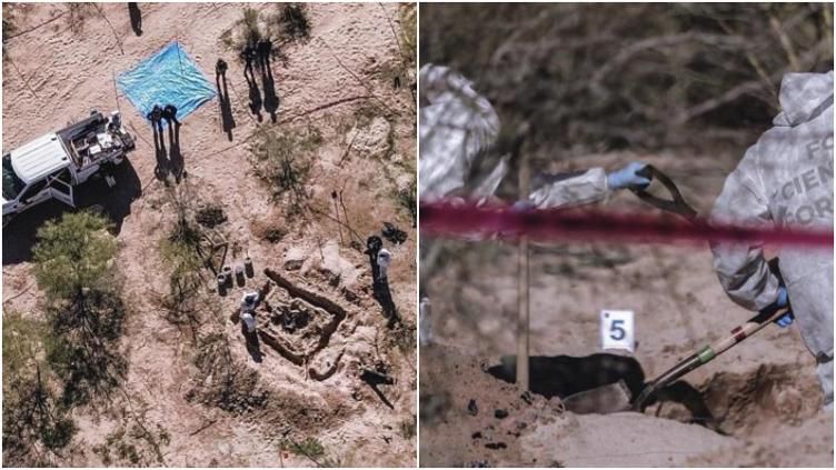 WhatsApp Image 2026-01-15 at 11.38.19 AM