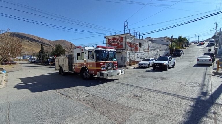 WhatsApp Image 2026-01-31 at 11.20.38 AM