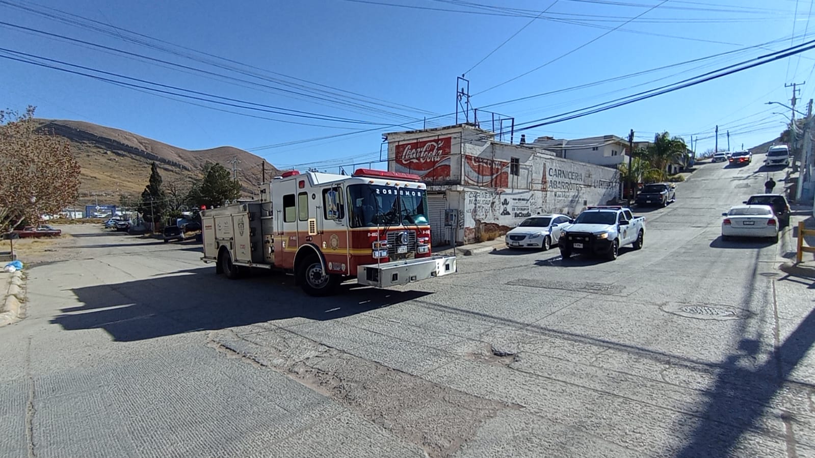 WhatsApp Image 2026-01-31 at 11.20.38 AM