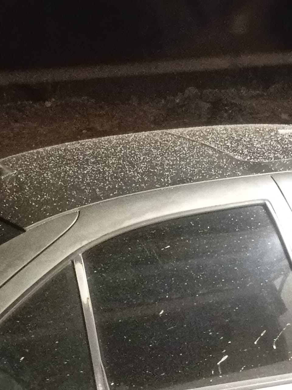 a4873731-f8ac-4c66-aa82-b4ae8295404c