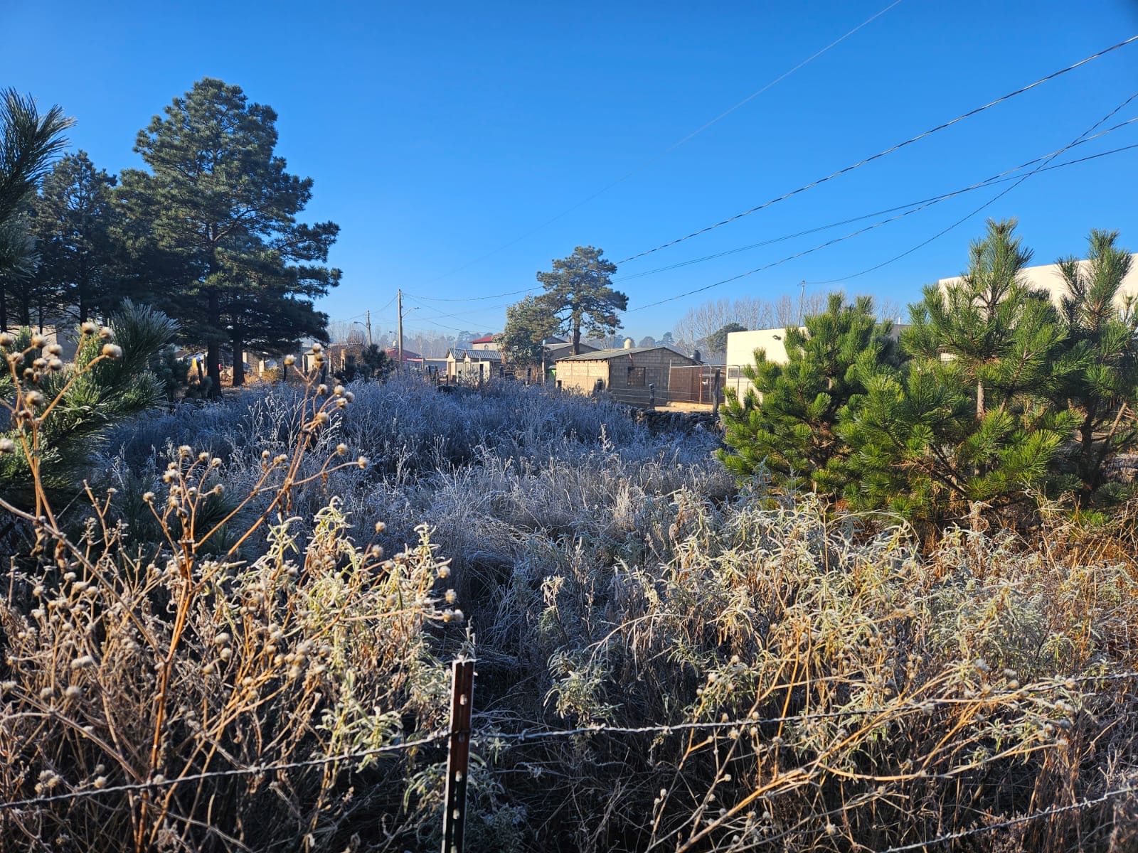 b7cff89c-2606-4882-ae0f-8868b5b8e3a0