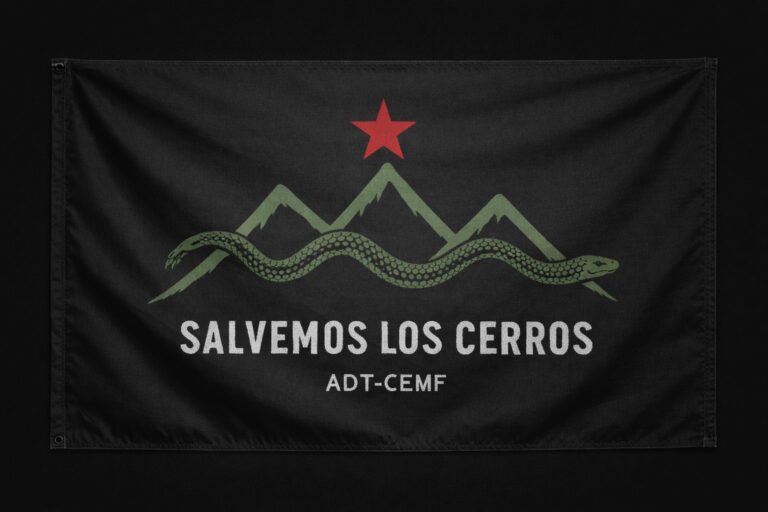 c1fd51c2-a8c9-4fde-acc2-3279e8710969