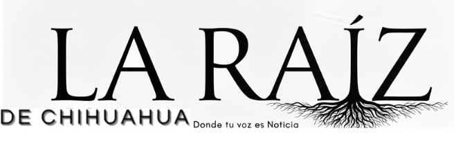 Captura de pantalla 2026-01-12 131808