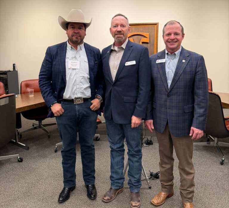 d1631166-761b-48a3-b76a-3b38d8e39180