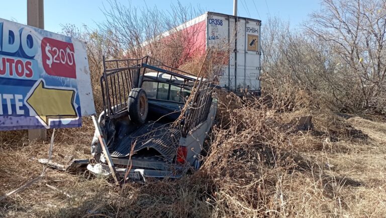 ef82d6e0-ef85-49fb-821b-db7c37b93810