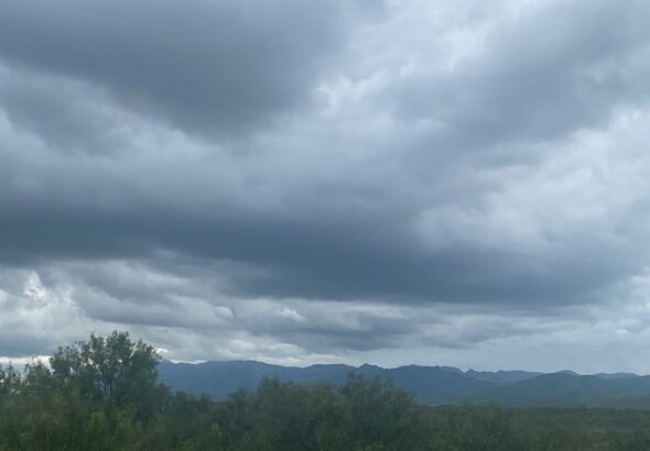 029e4f4b-3475-4d82-8714-445590b98fe7