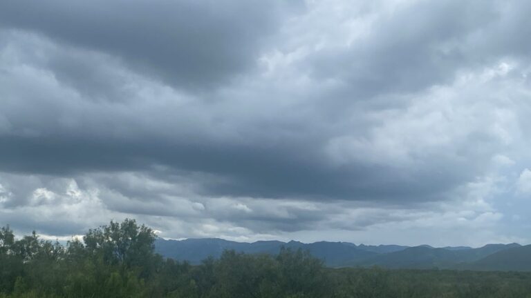 029e4f4b-3475-4d82-8714-445590b98fe7