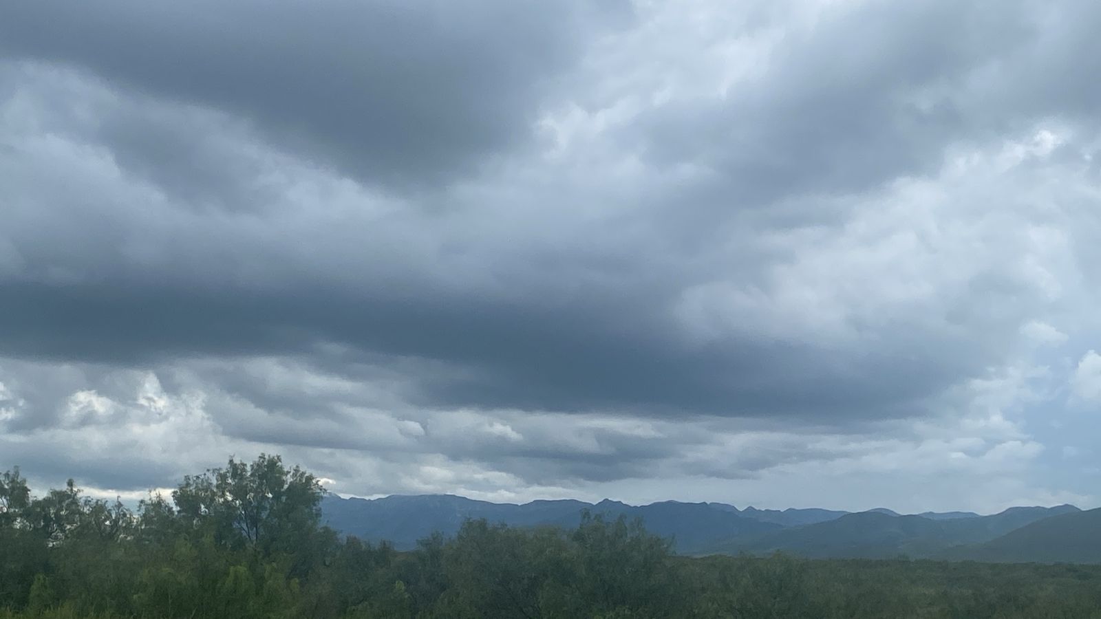 029e4f4b-3475-4d82-8714-445590b98fe7