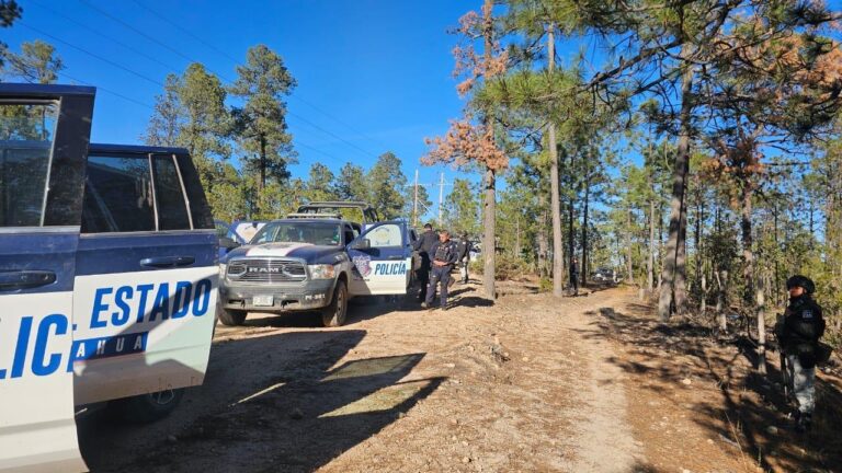 09908233-8c59-4daf-a222-8b8a38a5e0b6