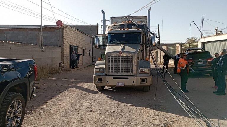 161b1dc6-f584-4704-a970-487ba6273d6c