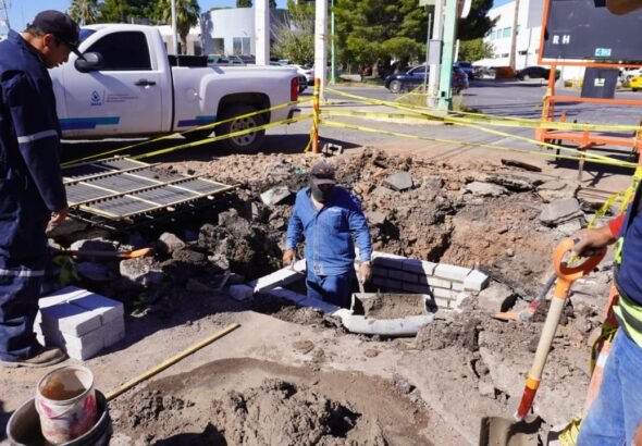 21de9614-92a9-4caf-a1ba-79334d6f5358