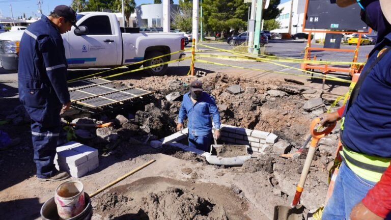 21de9614-92a9-4caf-a1ba-79334d6f5358