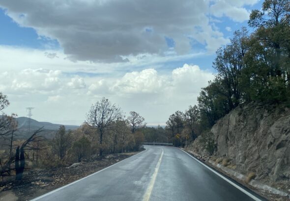 2a4c0961-e542-42e4-a9c9-cc91c42e0dee