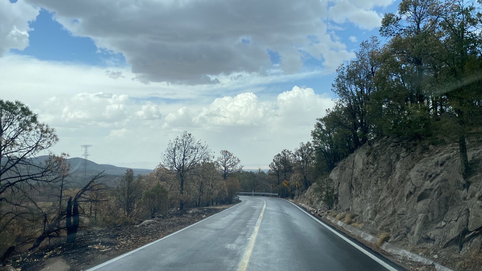 2a4c0961-e542-42e4-a9c9-cc91c42e0dee