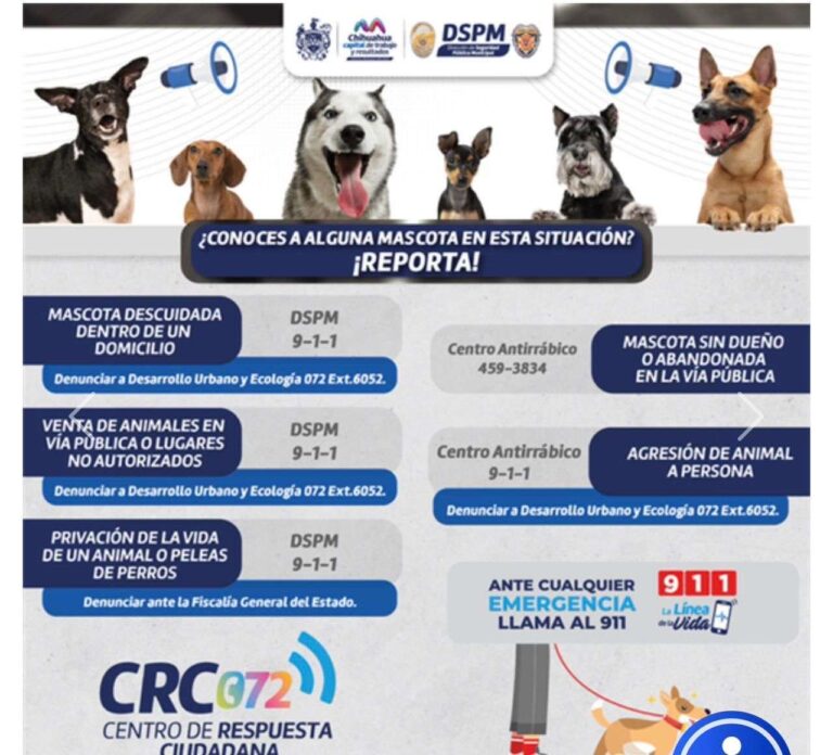 2f7bb86c-3e8a-45a5-8586-372c383df071