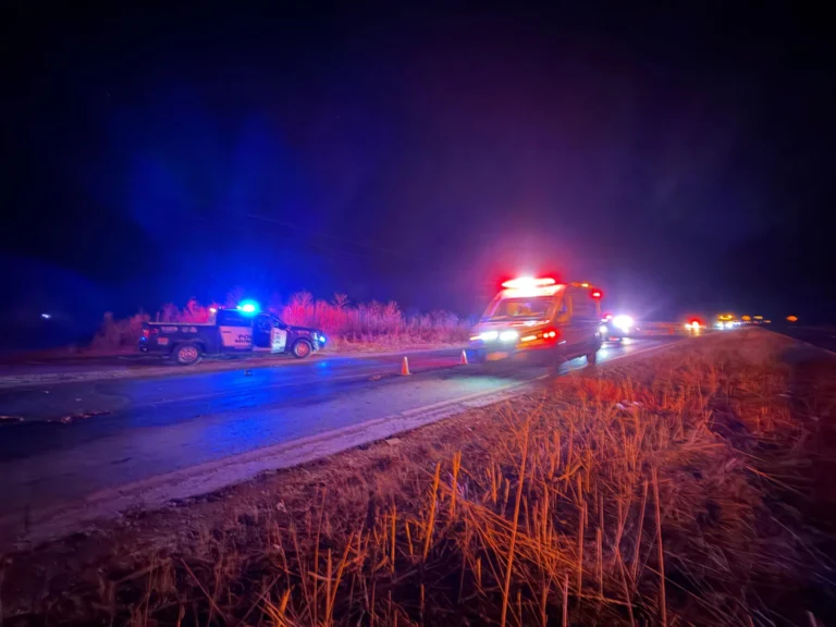 3342c697-3783-4b5c-b4b1-1db2332022de