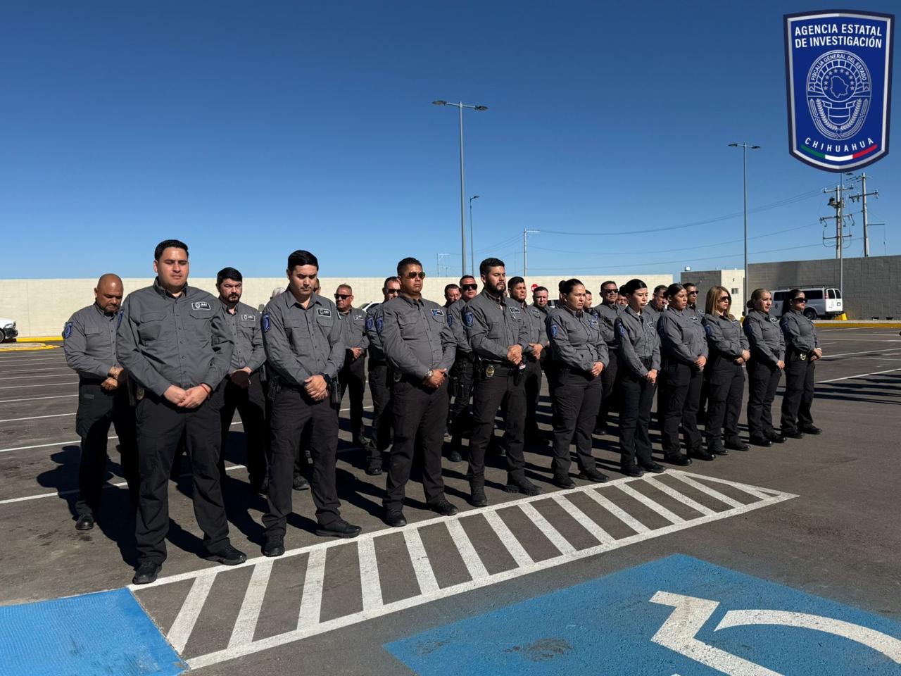 49958894-333d-47db-9047-358e69b9441d