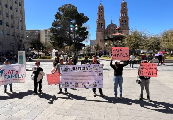 52ec5baa-0fd5-4090-9e4a-1565e4345df9