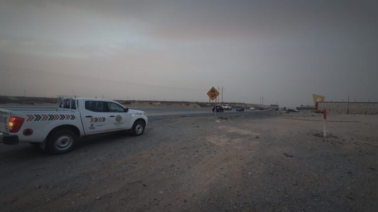 8e5debde-088d-4509-8131-a88ab106b81f