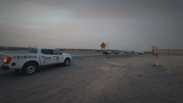 8e5debde-088d-4509-8131-a88ab106b81f